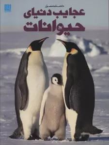 N3IG8xJF1KbOTOfw8Du1cchKe4vDEOwc