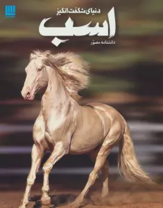 SdvyT3ffTwubLm8HeOIA30F7majWi7qj