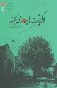 لاک پشت ها پرواز می کنند